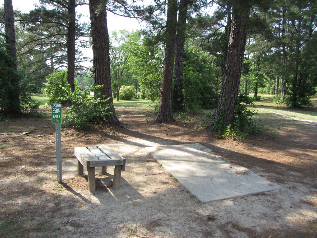 Hole 5