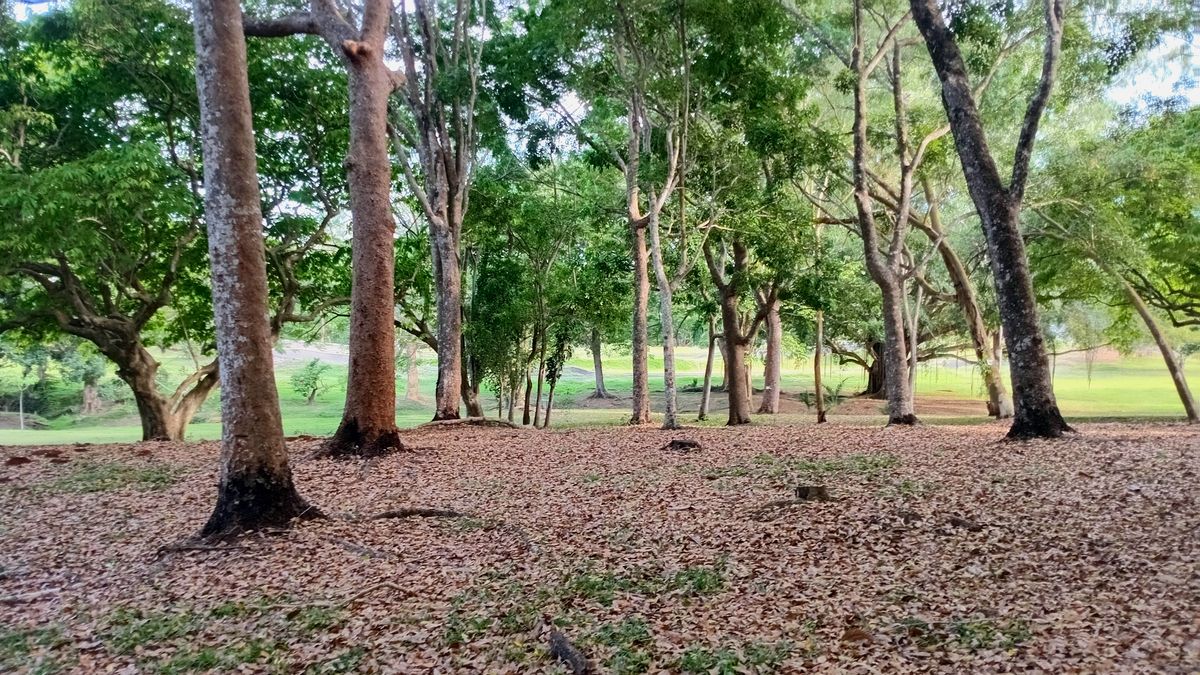 Parque Omar DG Course
Hole 2 Fairway