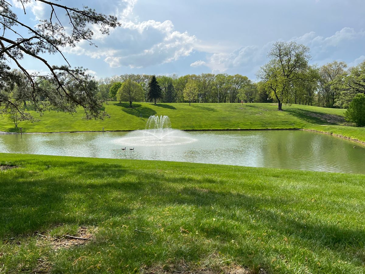 The fountain pond in May