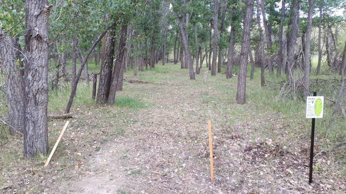 Hole 7 tee