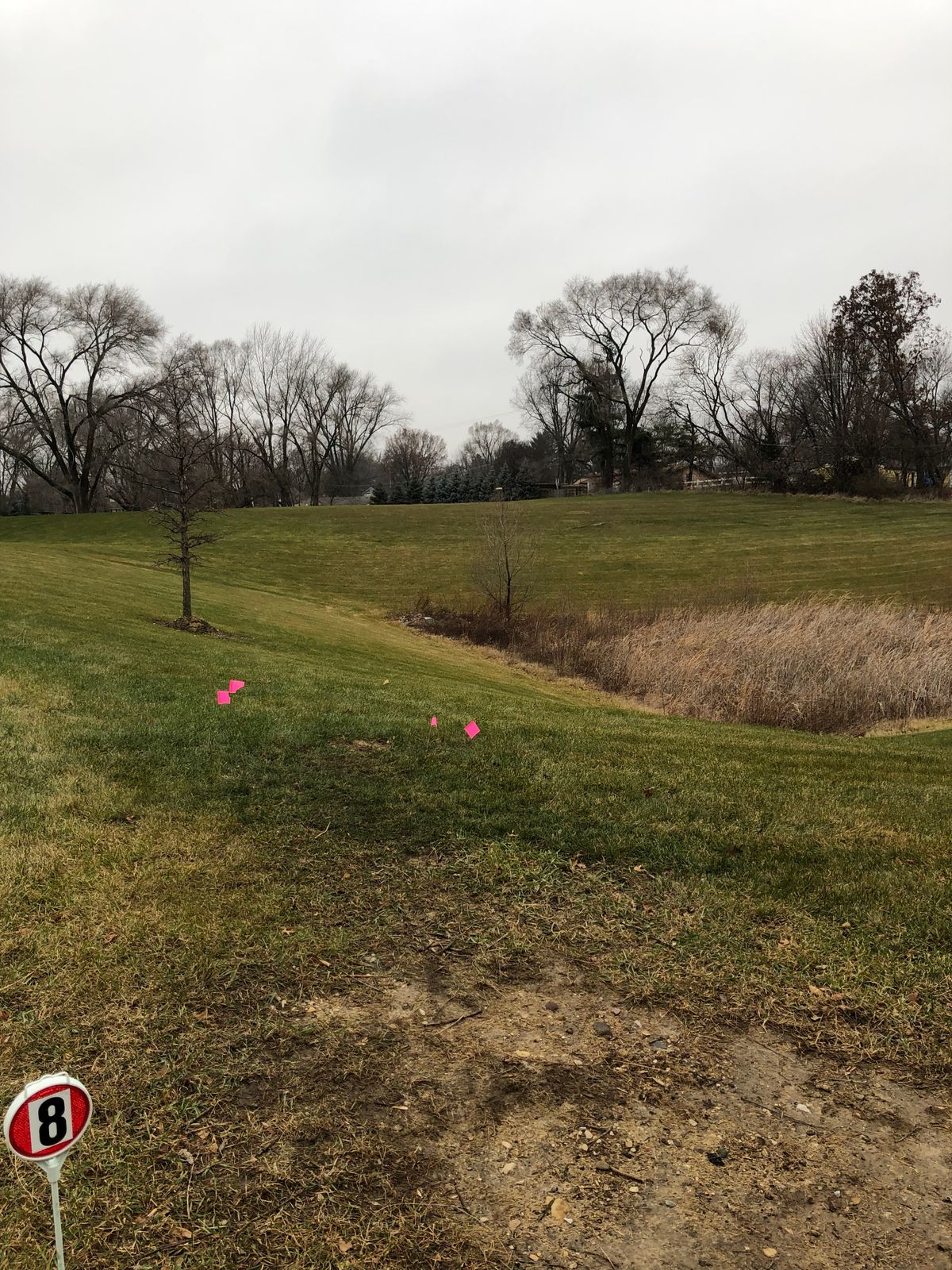 Tee #8