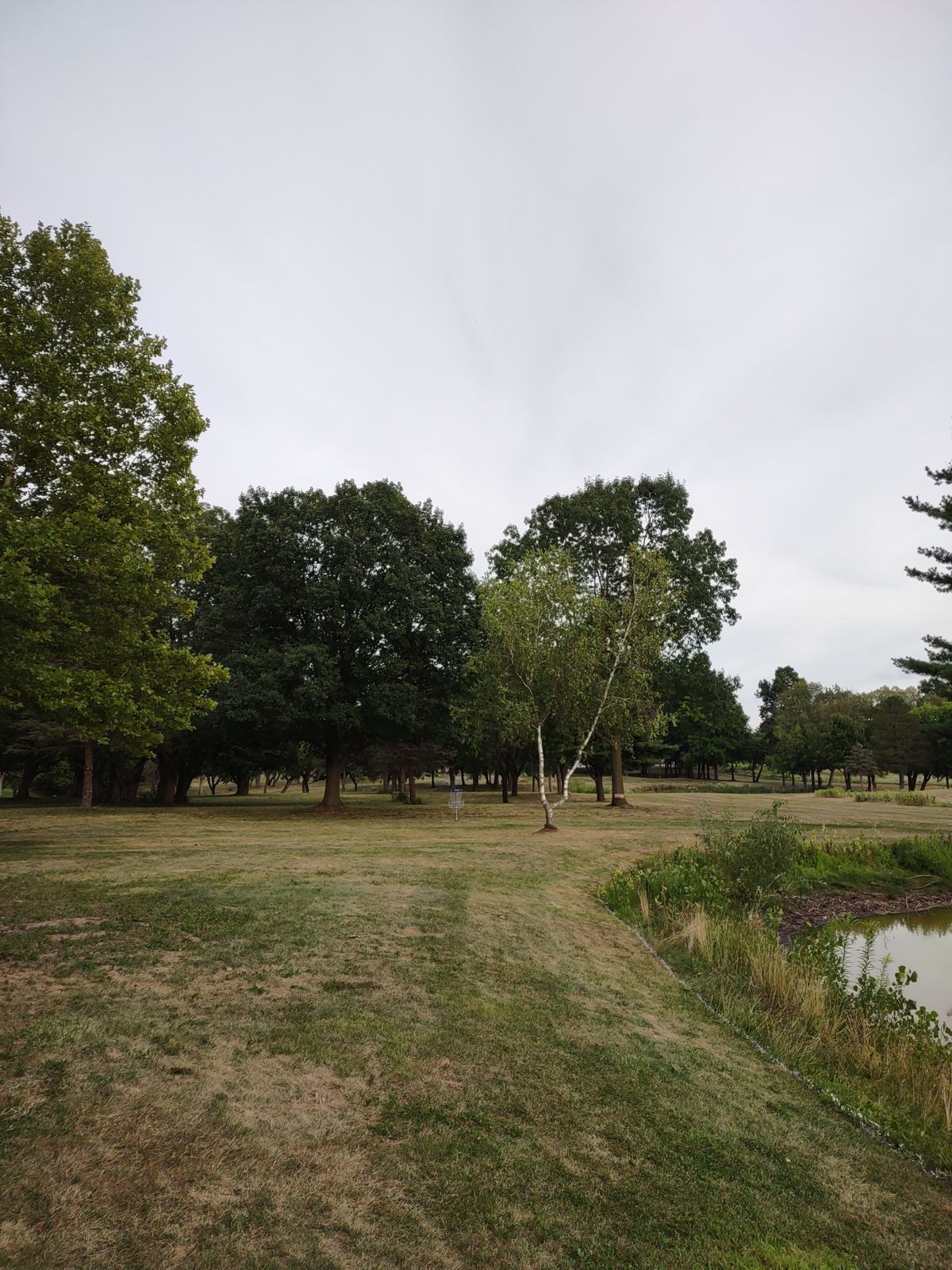 Hole 13 approach