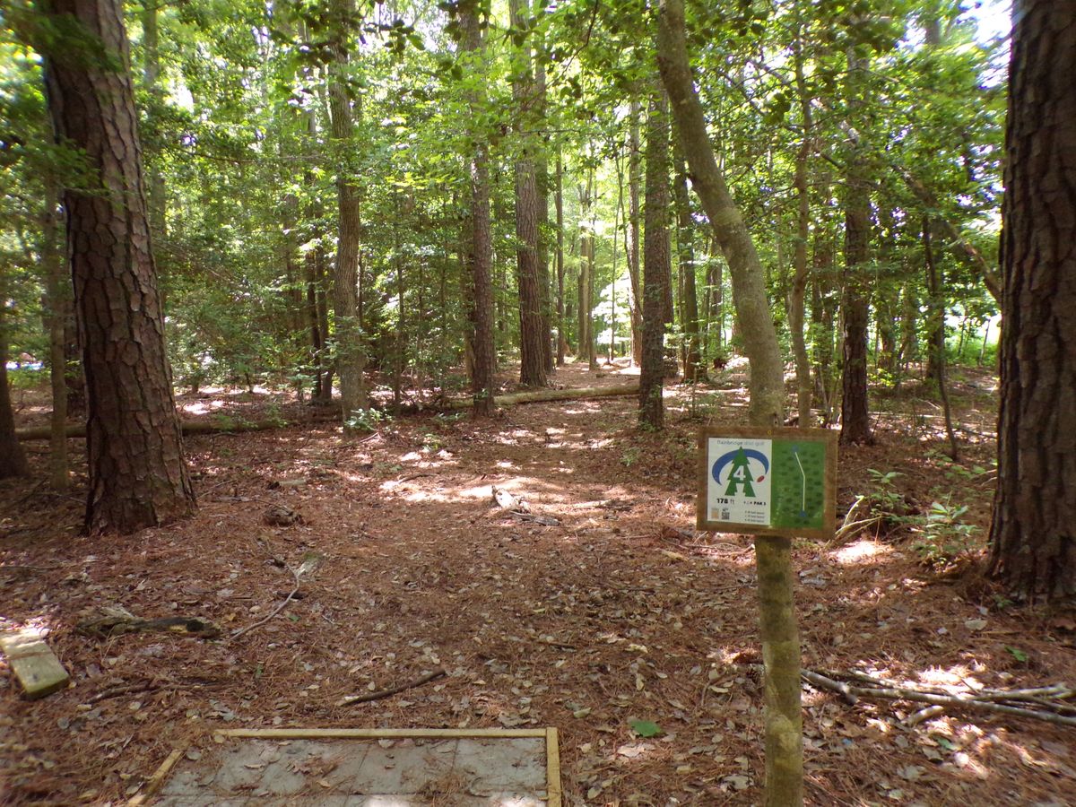 Hole 4 tee pad and fairway. Tight gap that feeds to the basket on the left side.