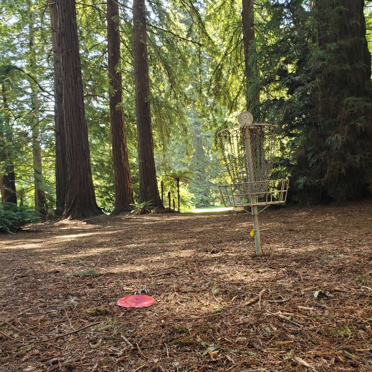 Hole 12's green