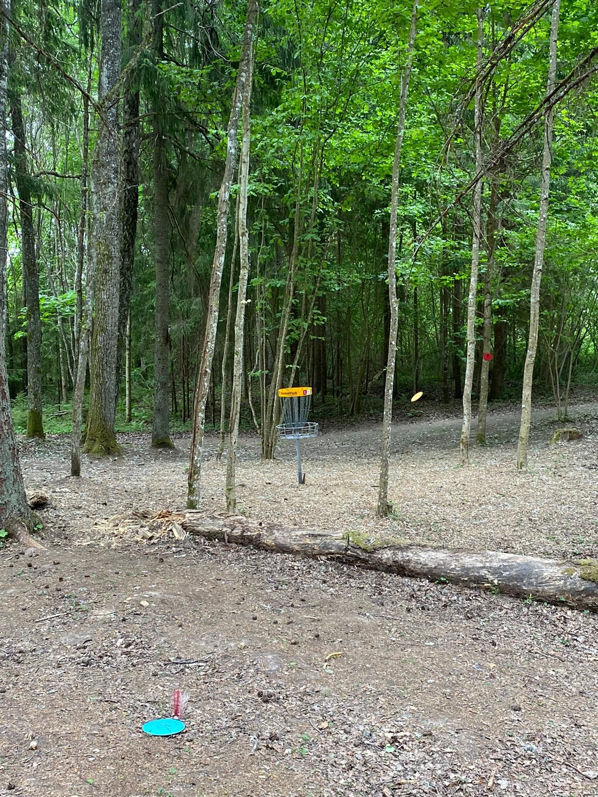 Hole 12
