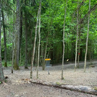 Hole 12