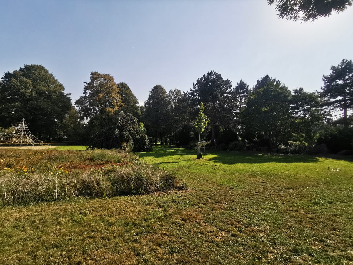 View back to tee 16