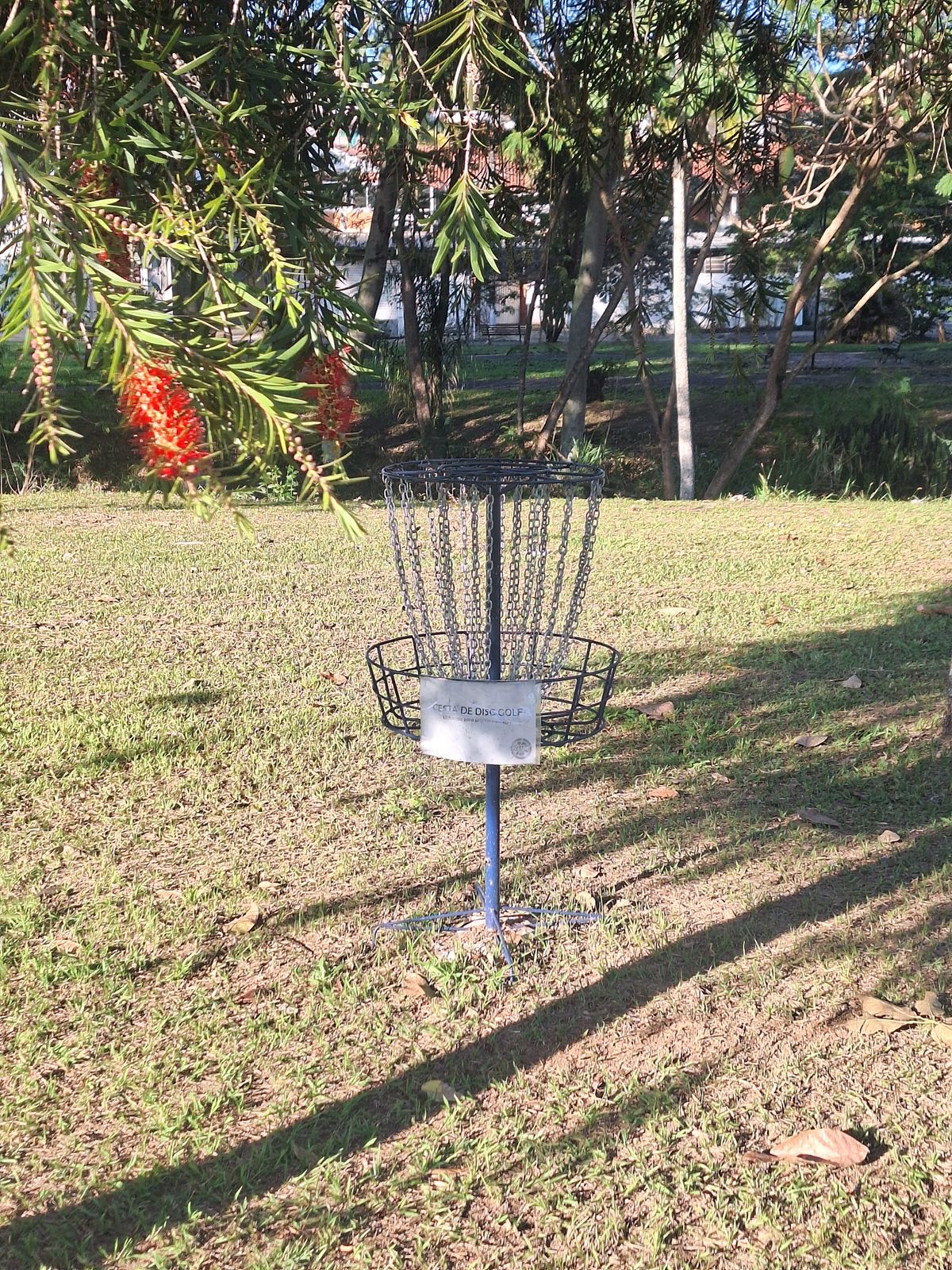Cesta buraco 2
