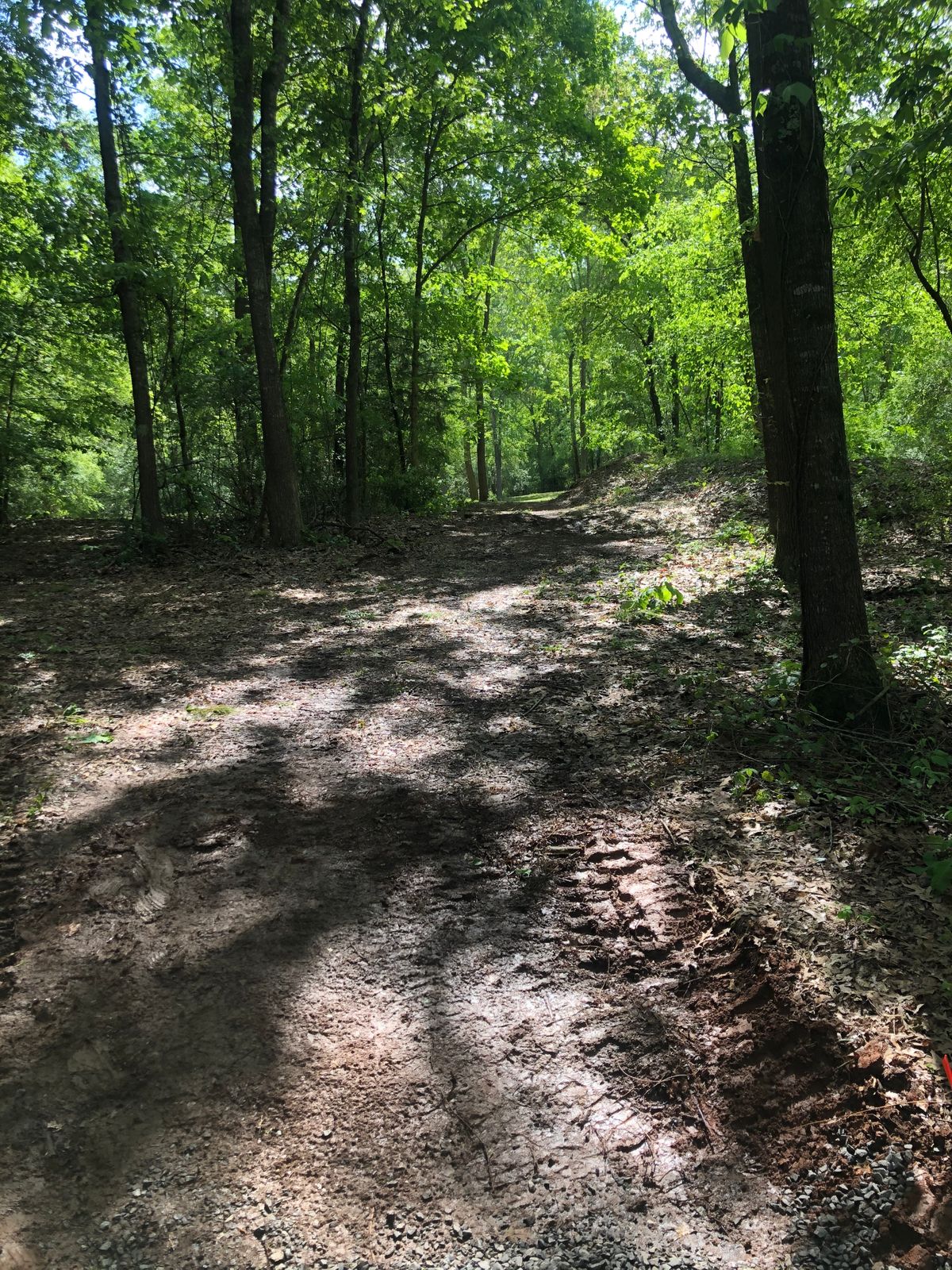 Hole 5