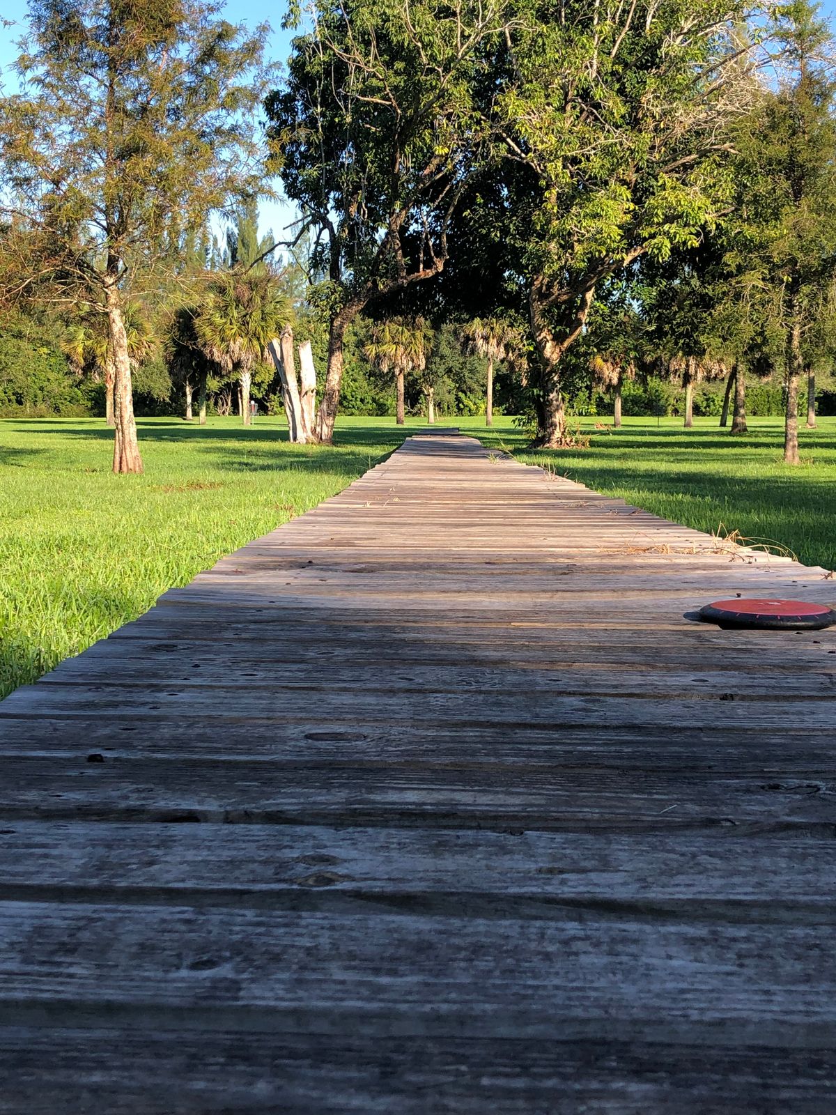 Hole 8. Triple mandatory?