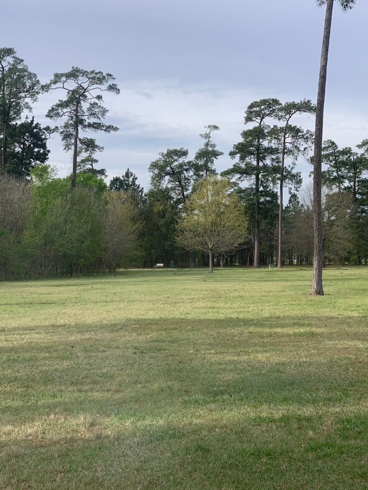 Hole 11 zoom
