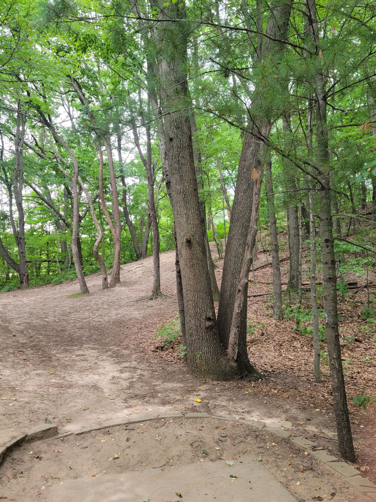 Hole #14