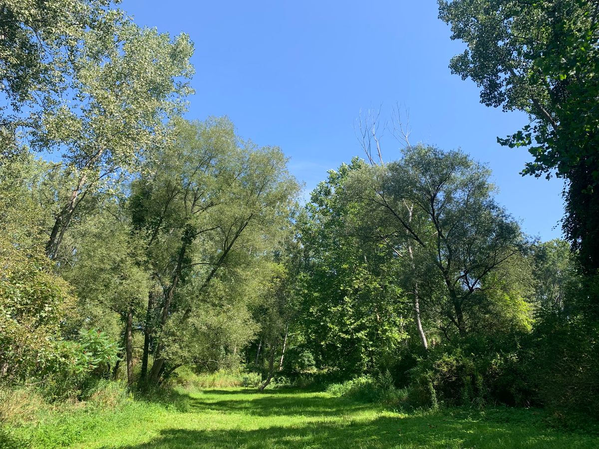 Mix of wooded sections that challenge shape shot, not just distance