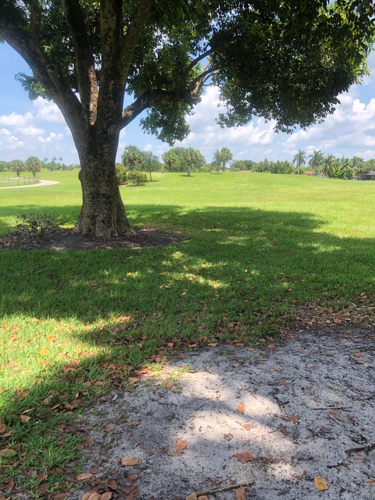 Hole 2