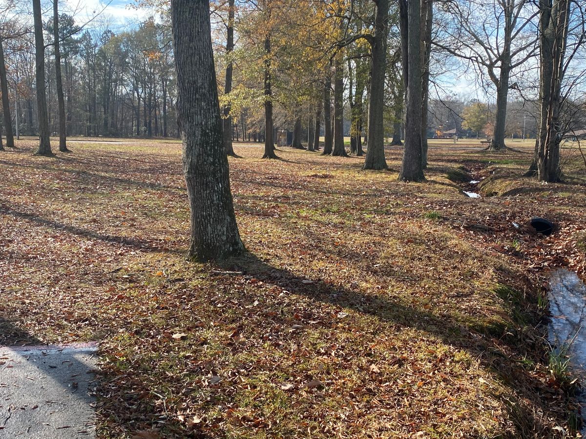 Hole 3