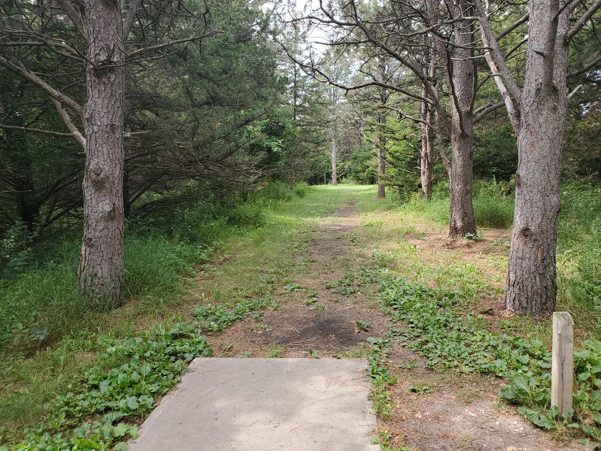 Hole 11 (basket in right cutout)