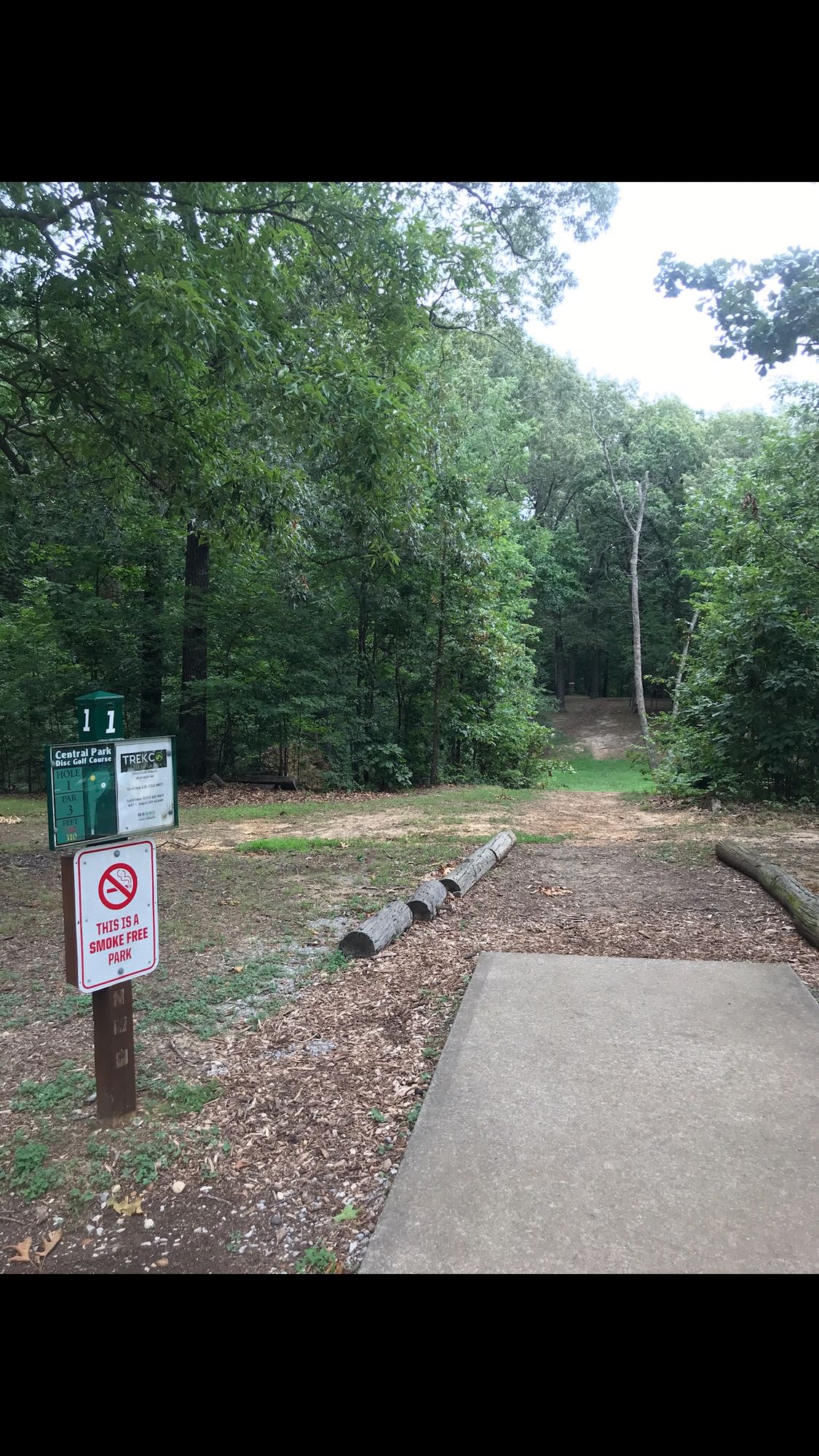 Hole 1 @ Central Park (July 2023)