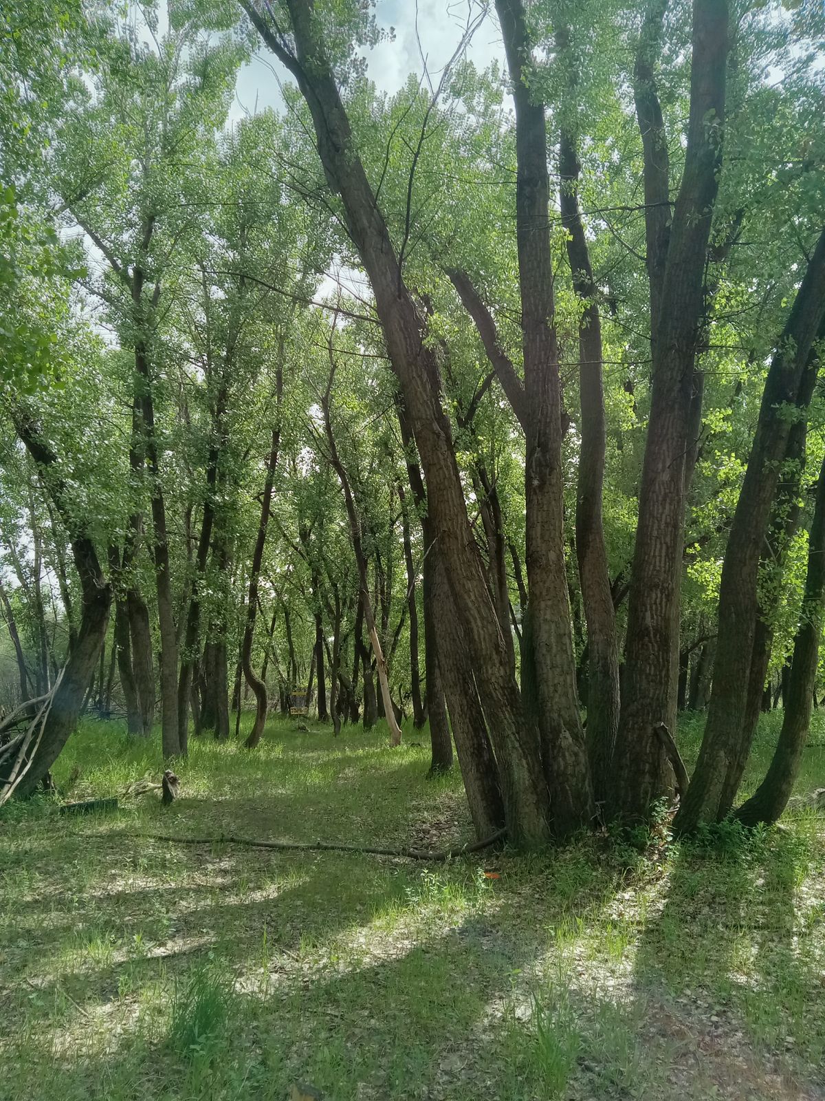 Approaching hole 2 basket