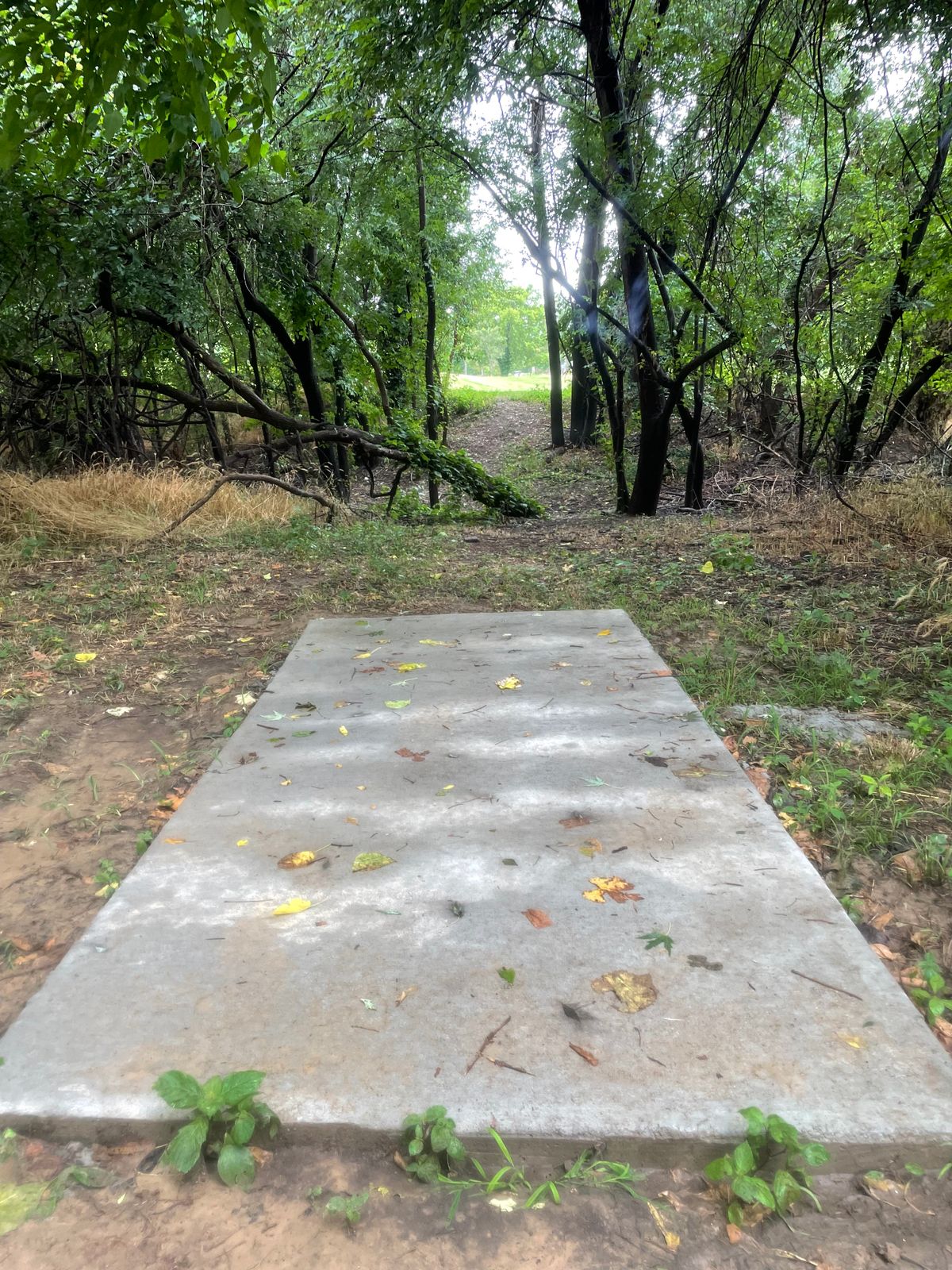 Hole 17 Long pad.
