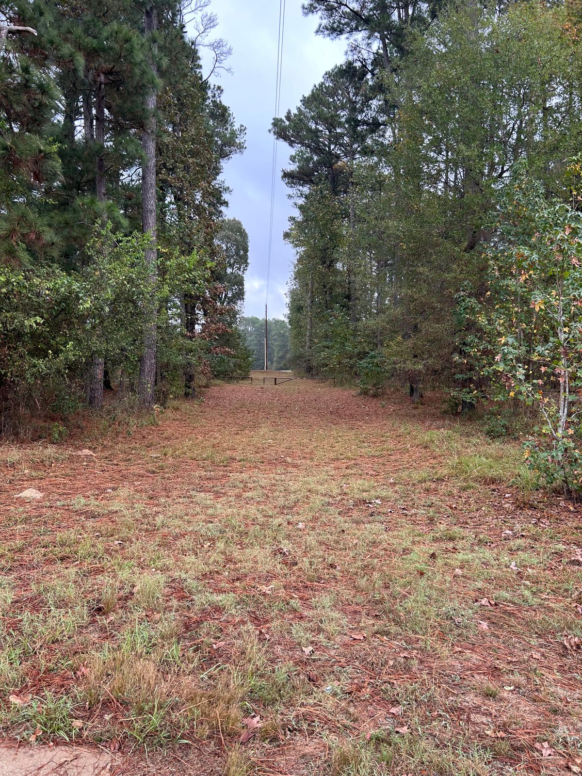 Hole 14 tee shot
