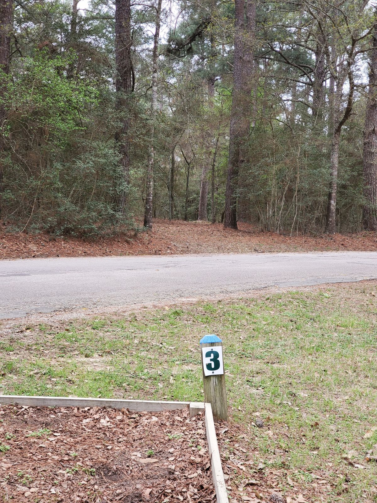 Hole 3, blue tee.