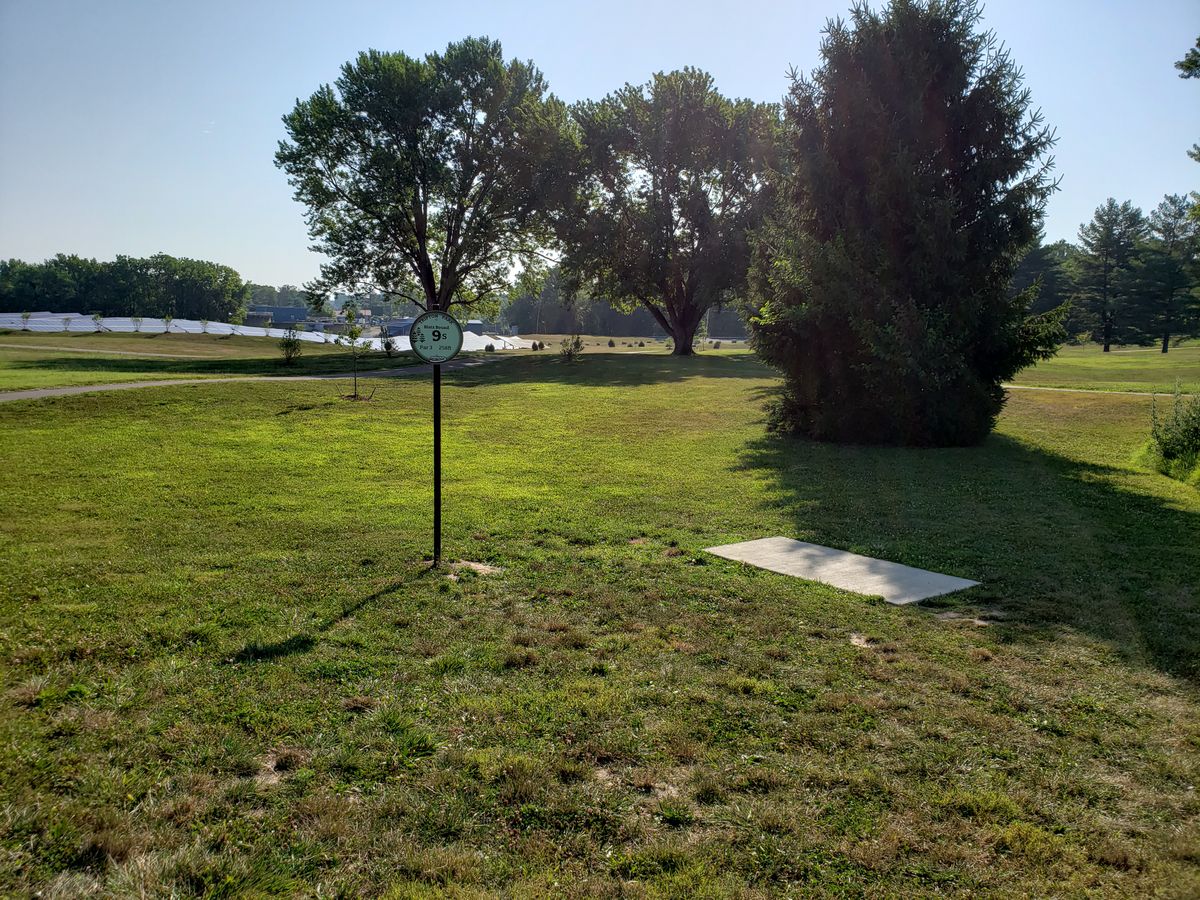 #8 Long Tee Box view.