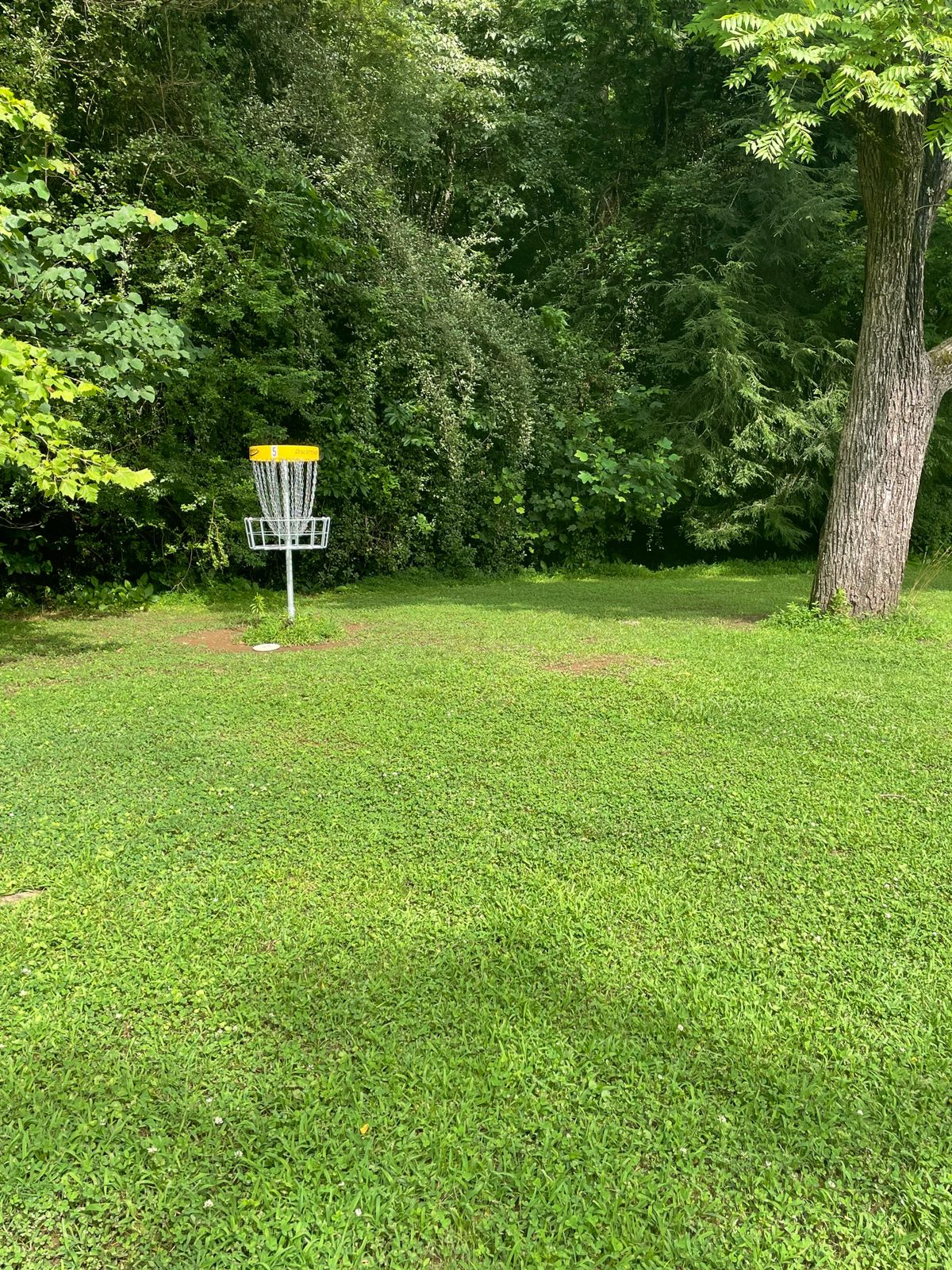 Hole 5