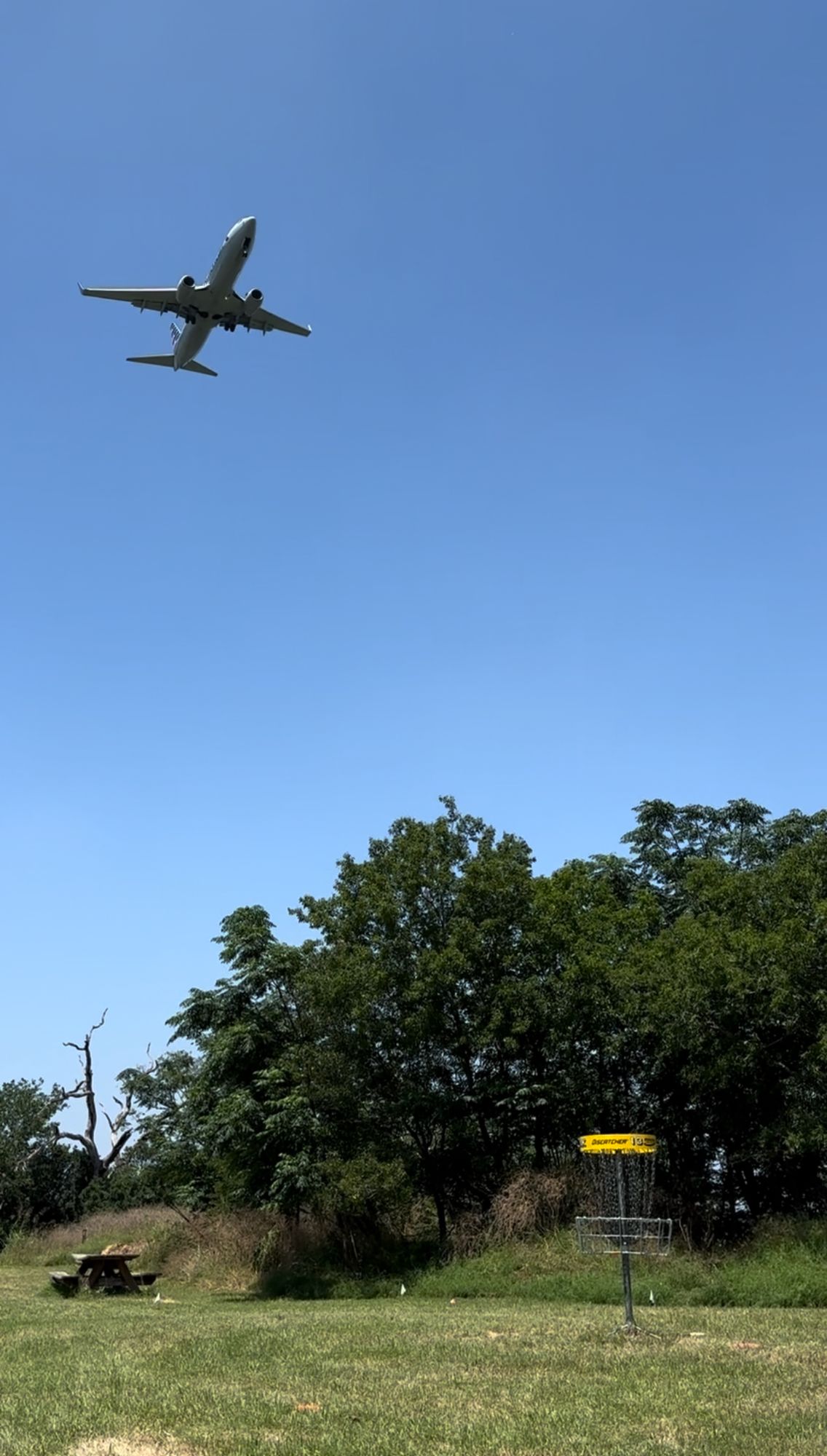If you enjoy plane watching, this course is the place.