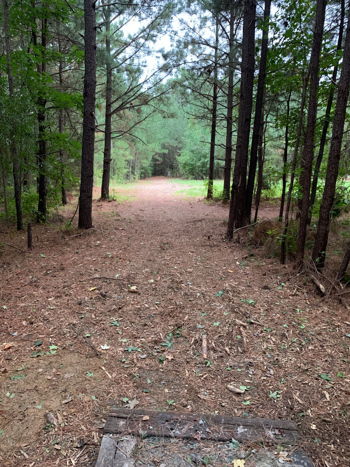 Hole 3 tee shot