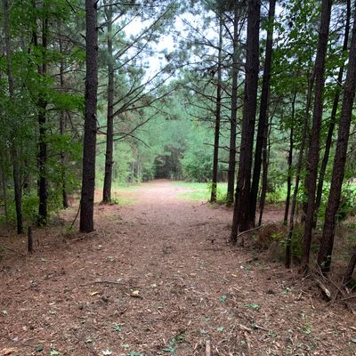 Hole 3 tee shot