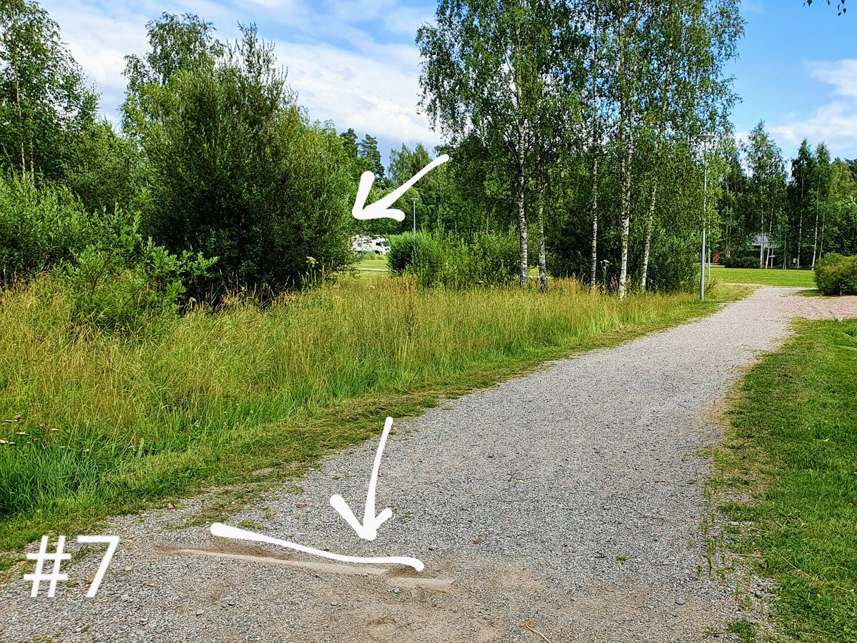 Basket #7 is not seen from the tee.