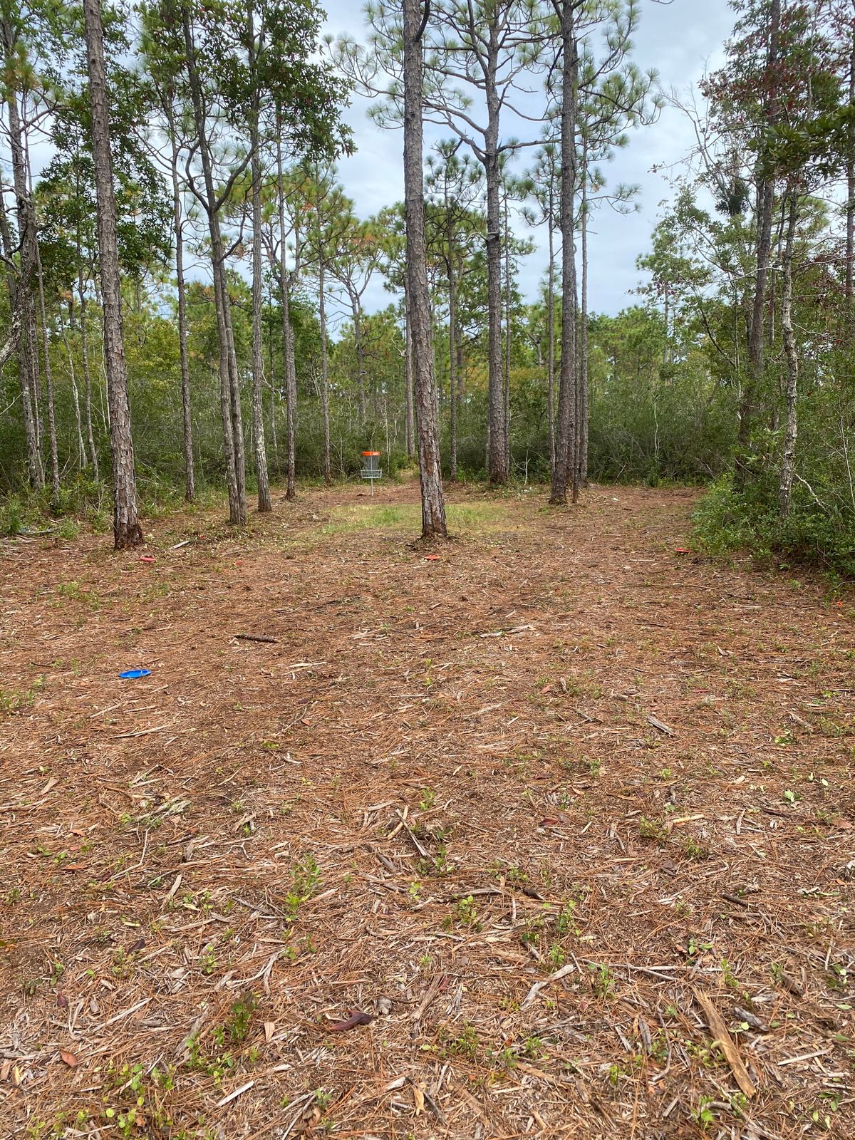 Hole 1 fairway