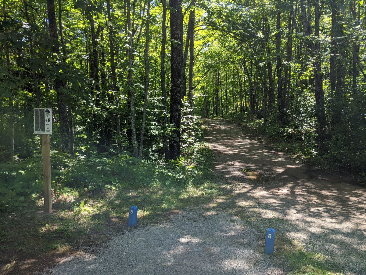 Hole 8