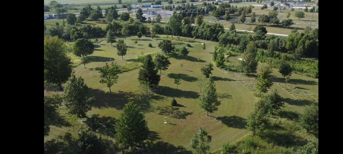View from 100' high, looking down on hole 5.