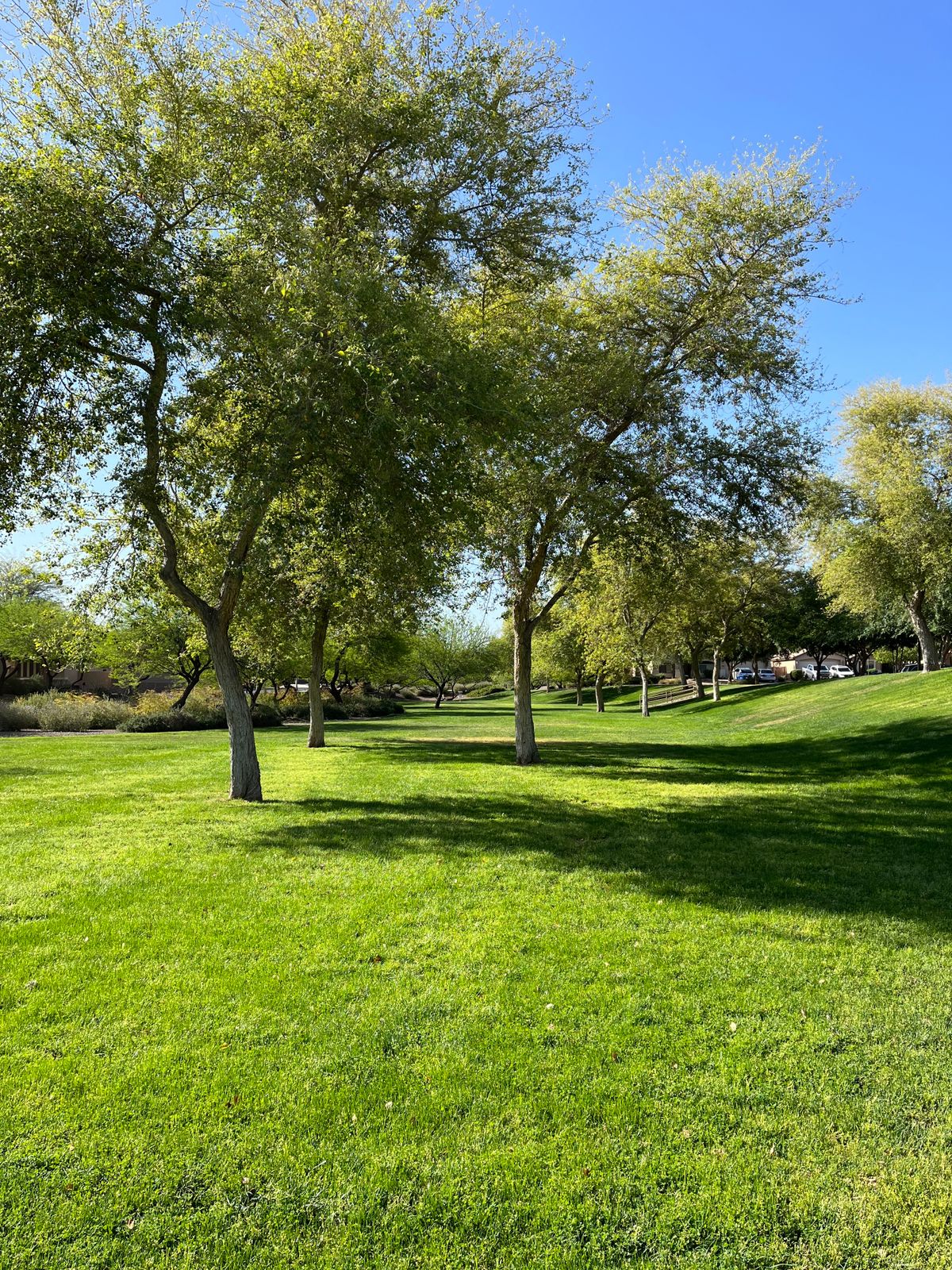 2’s fairway