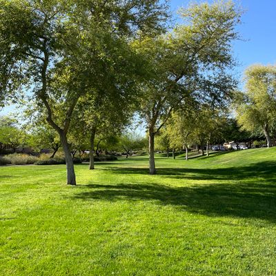 2’s fairway