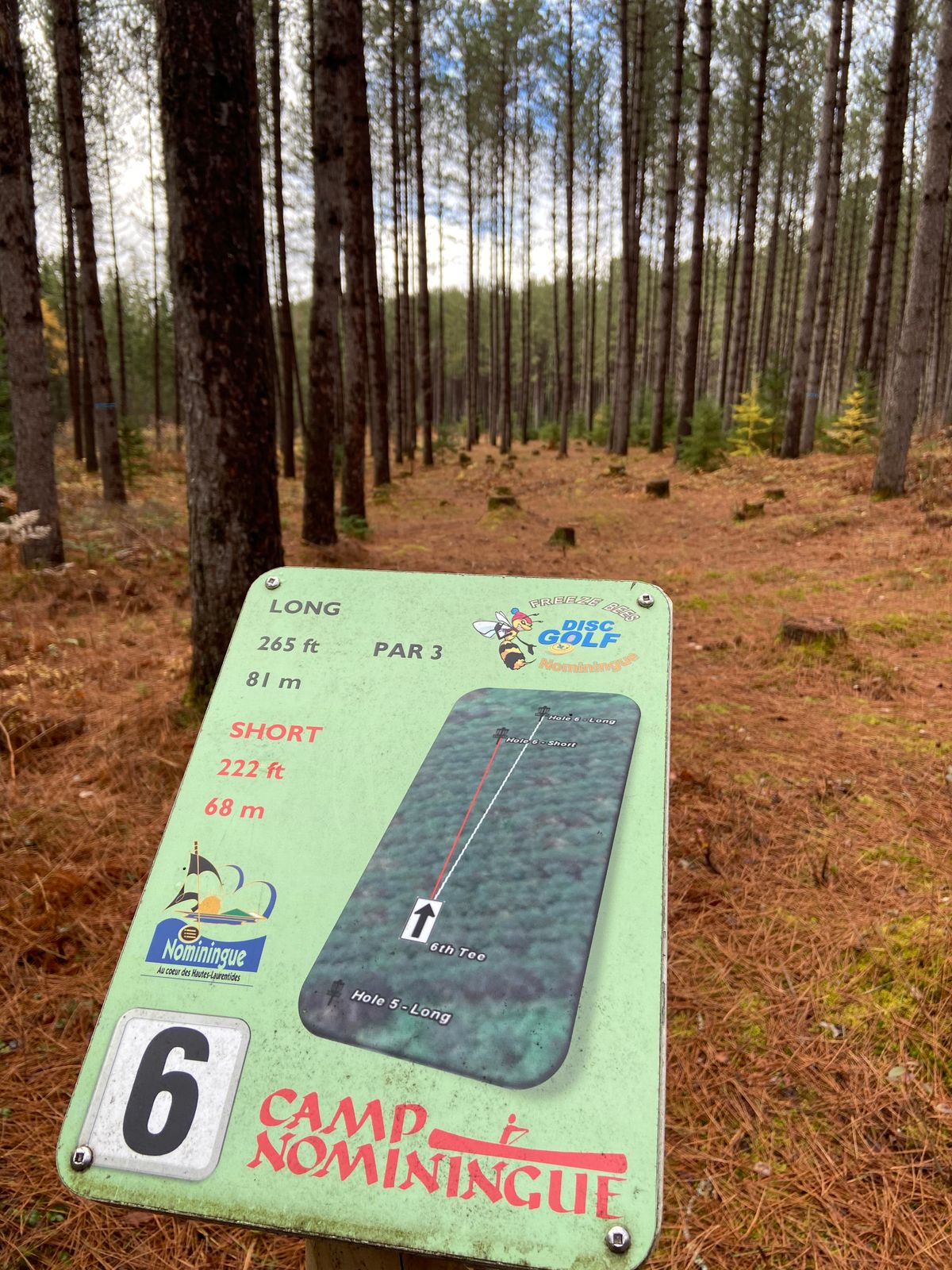 Tee 6