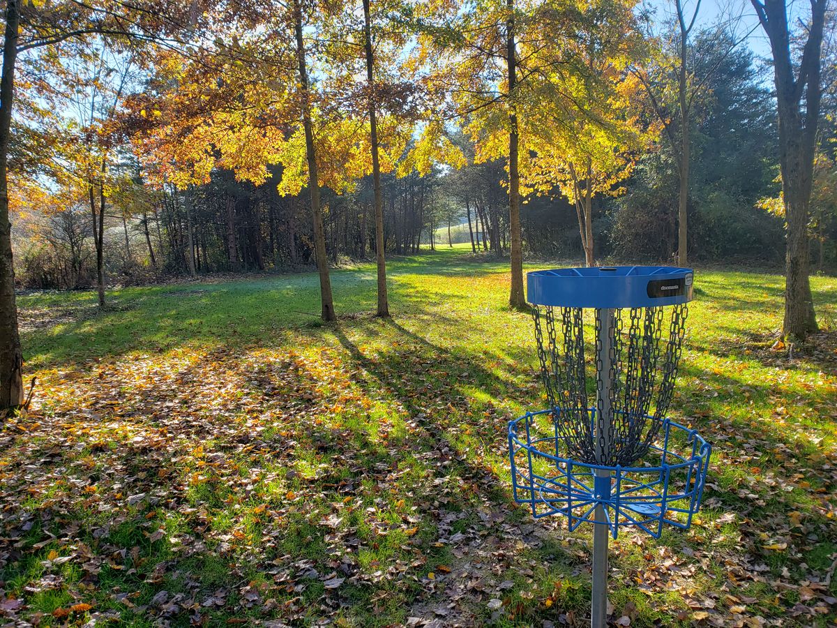 Hole 7 green looking back at fairway