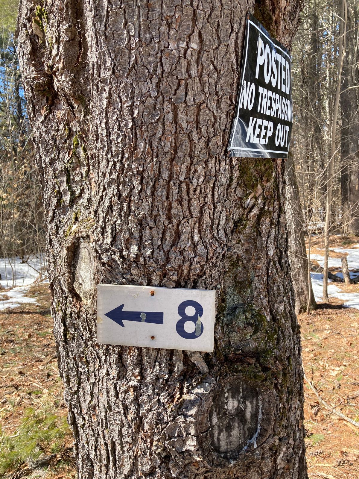 To hole 8! (No trespassing)