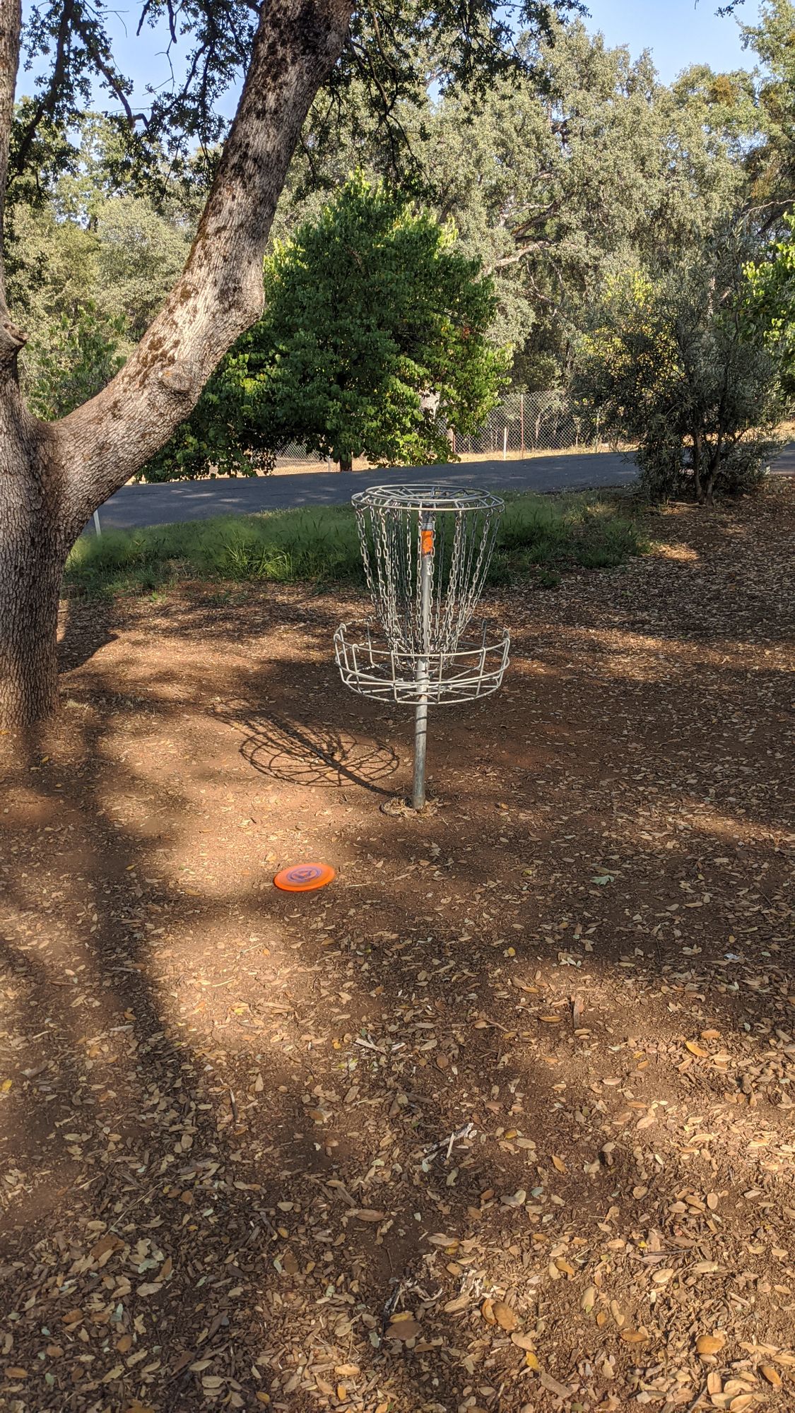Hole #5 Basket