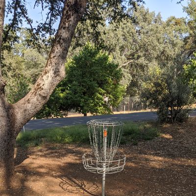 Hole #5 Basket