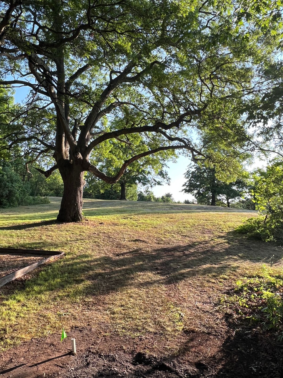Tee 15