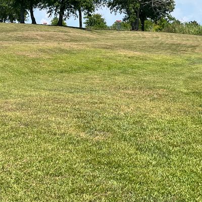 Decent ways up around the corner. Fun hole for a side arm.
