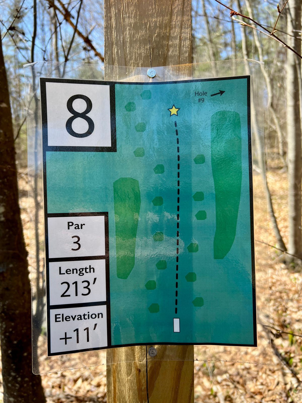 Hole #8