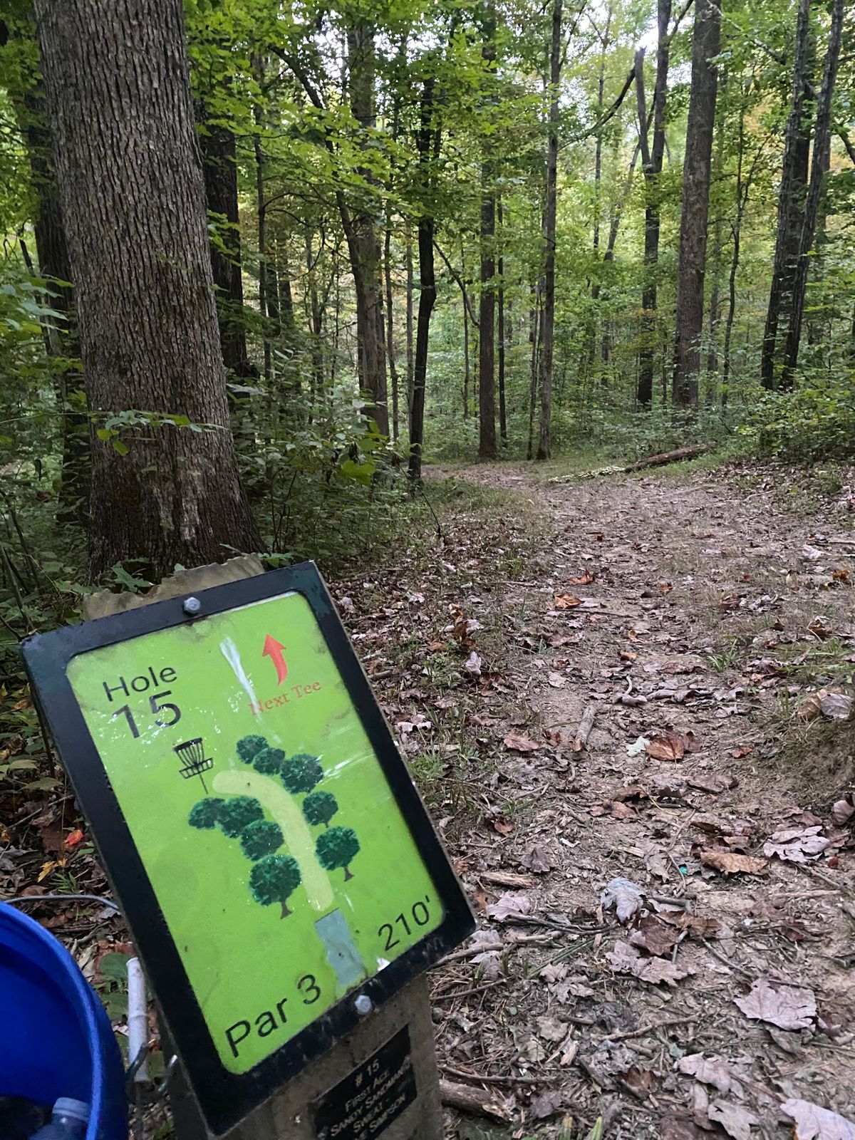 Hole 15