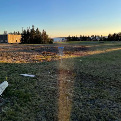 Hole 6 basket