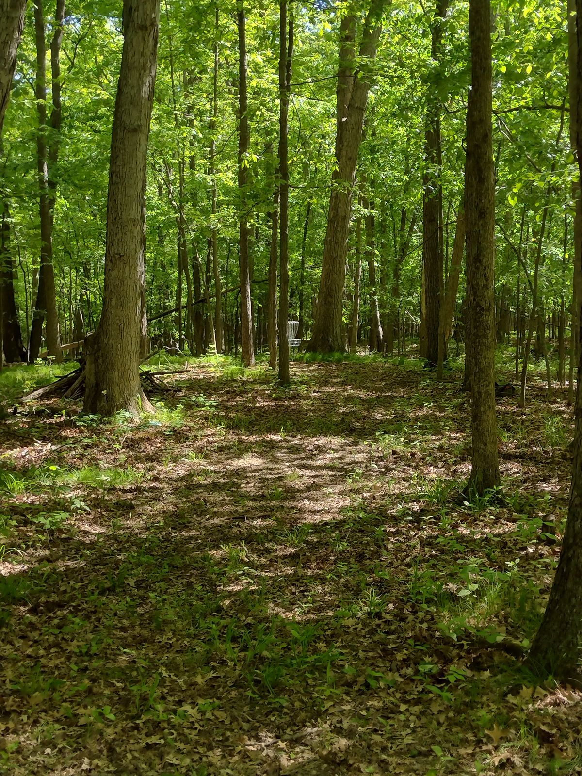 Approach on hole 14