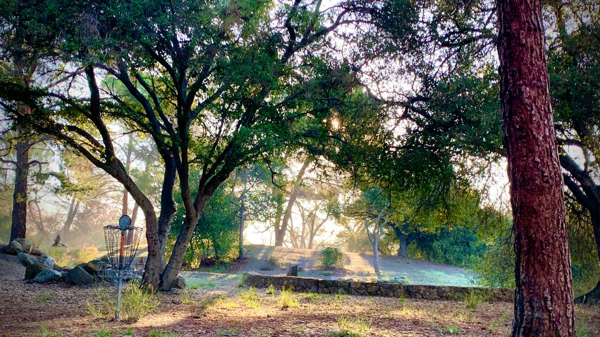 Hole 3 basket in deep position, looking back at the fairway.