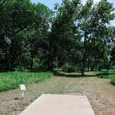 Safari Smiles DGC