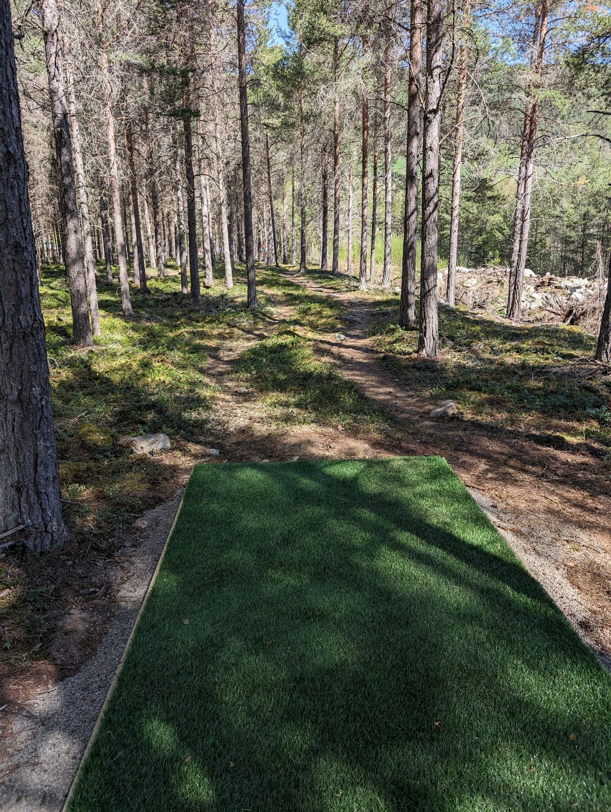 Hole 8